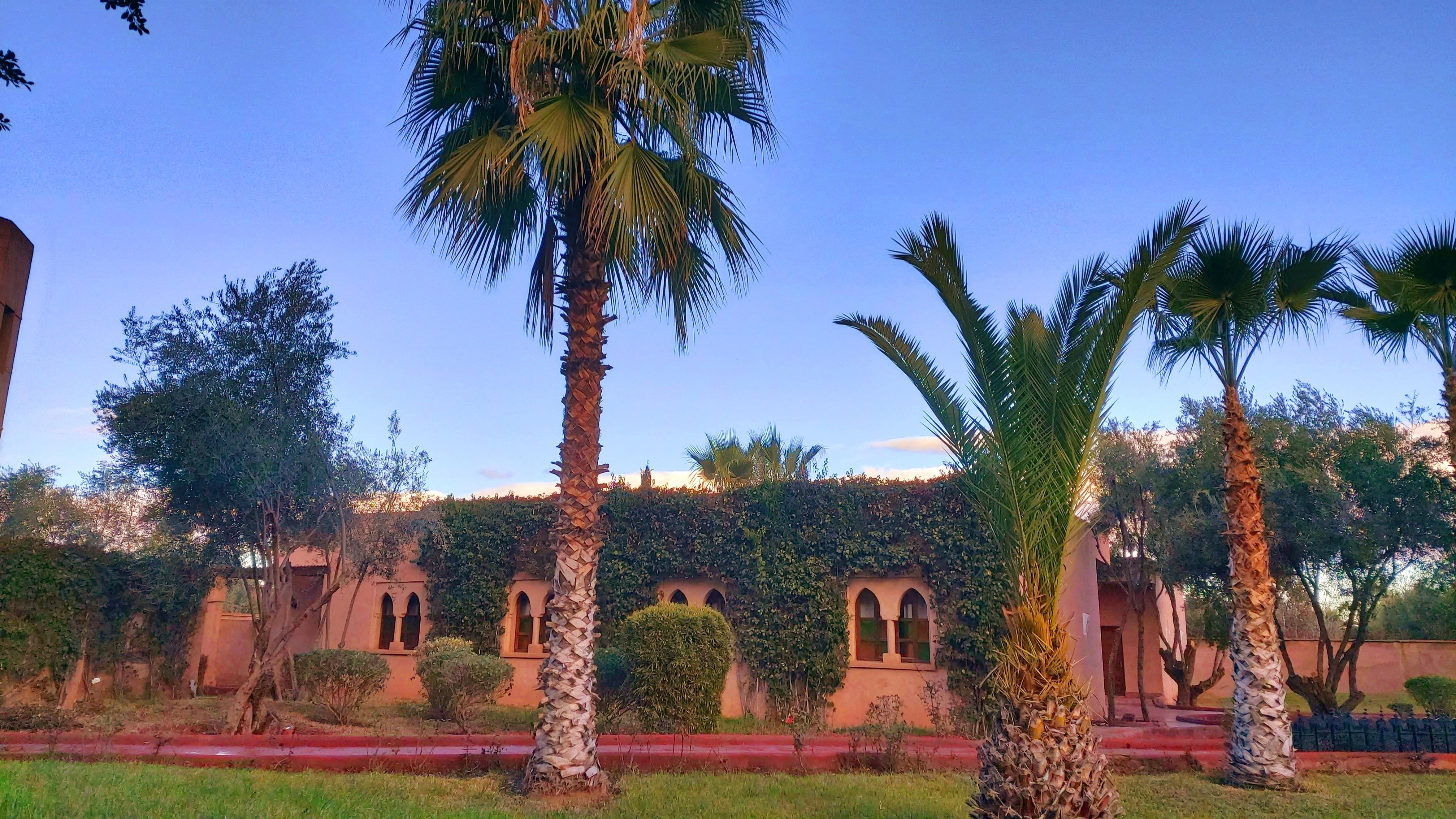 La Maison Des Oliviers Lagouassem Bagian luar foto
